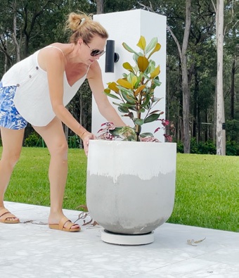 Plant Glider with garden planting